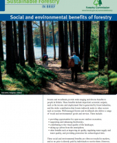 Social and Environmental Benefits of Forestry: Factsheet